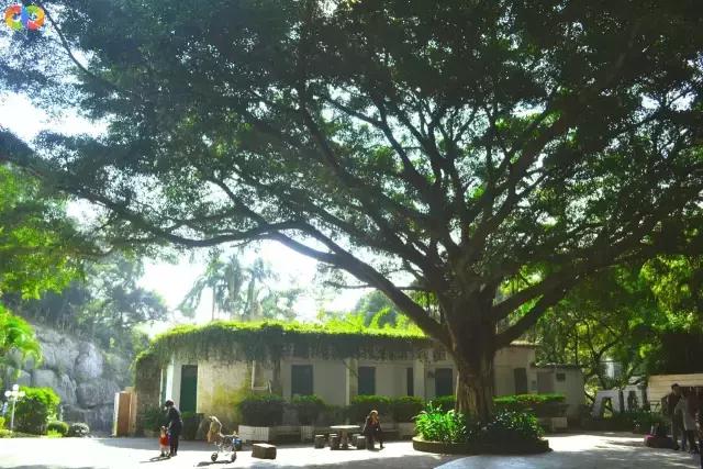 从平安路到桃园路的旧街，独属于老香洲的记忆