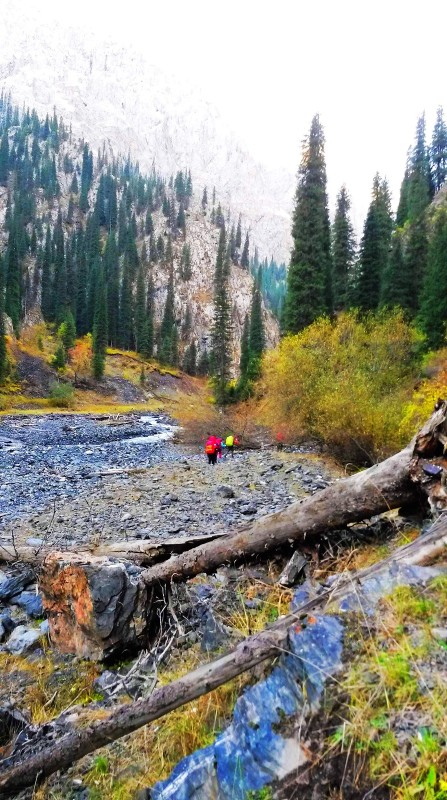 带上UL从狼塔C回家