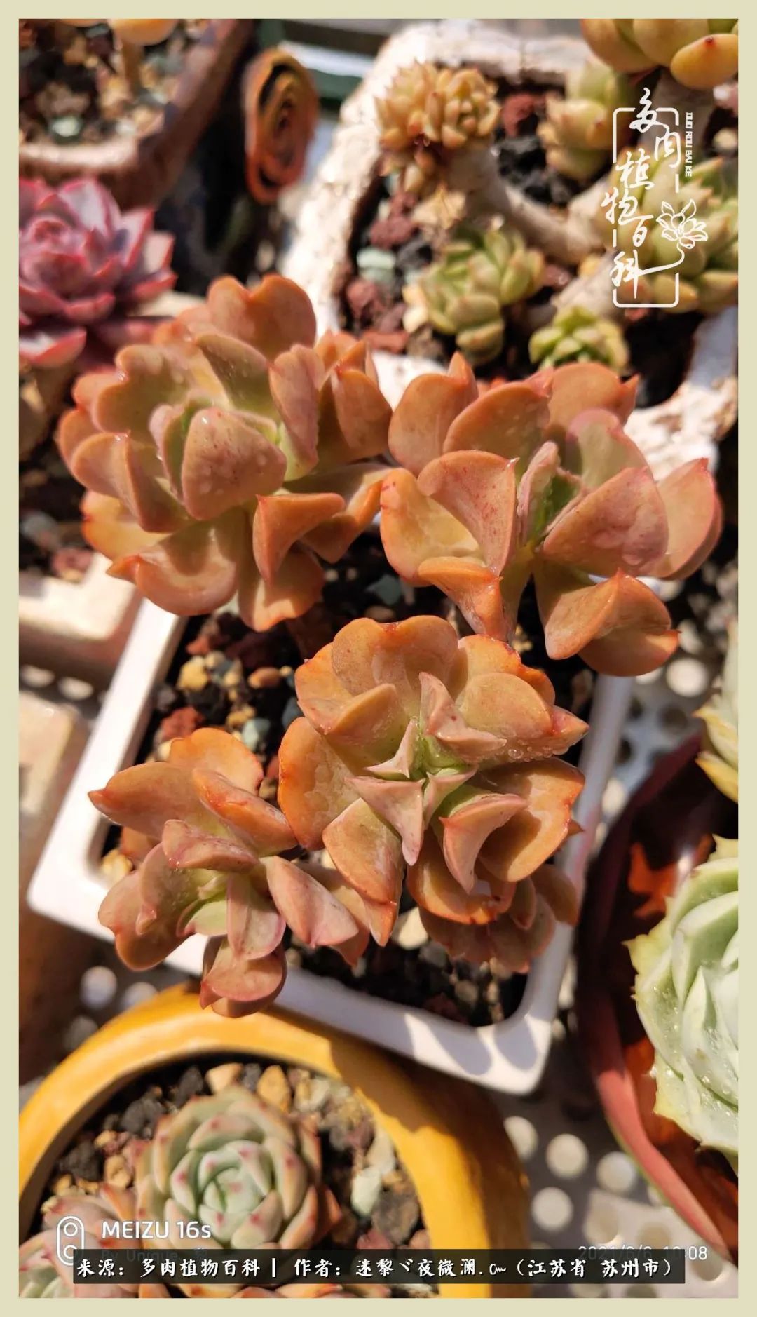 秋尽冬来岁月不居时节如流,岁月不居时节如流水