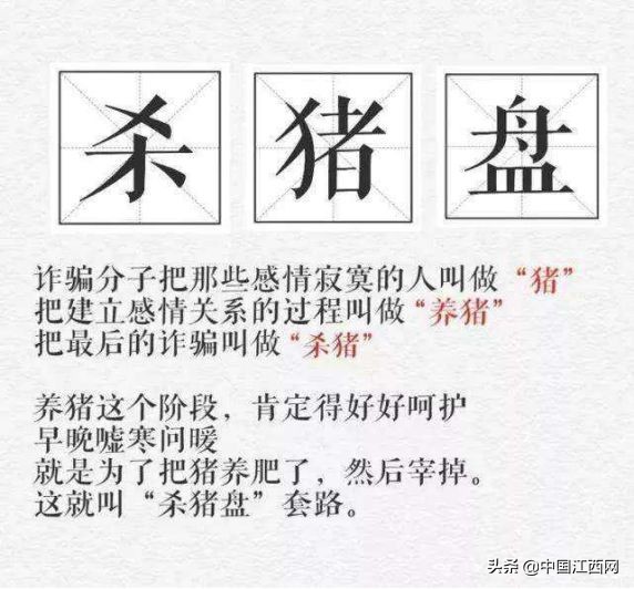 新型骗局杀猪盘,警惕杀猪盘骗局海南警方提醒