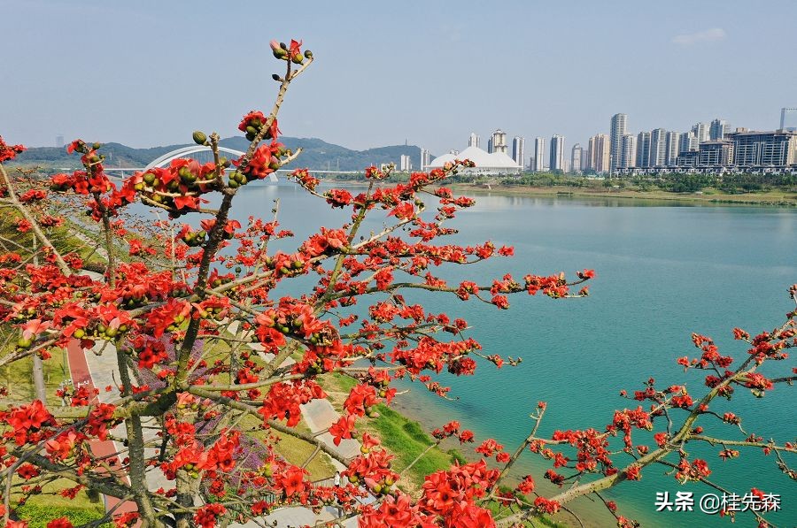 南宁百货大楼购物中心在哪里,南宁百货店潮玩客