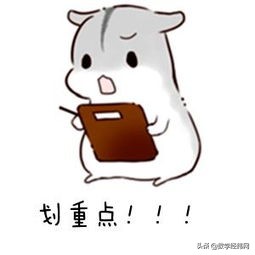 无法理解的高中知识,无法理解的数学