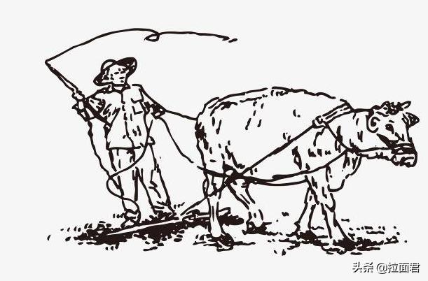 天津河东实验小学公立,天津河东区小学排名及学区