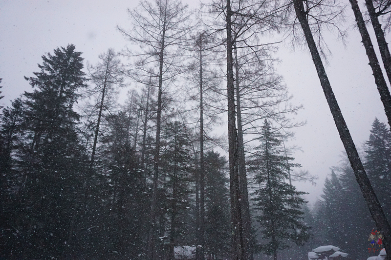 冬季旅游好去处排行榜不看雪,林海雪原旅游景区