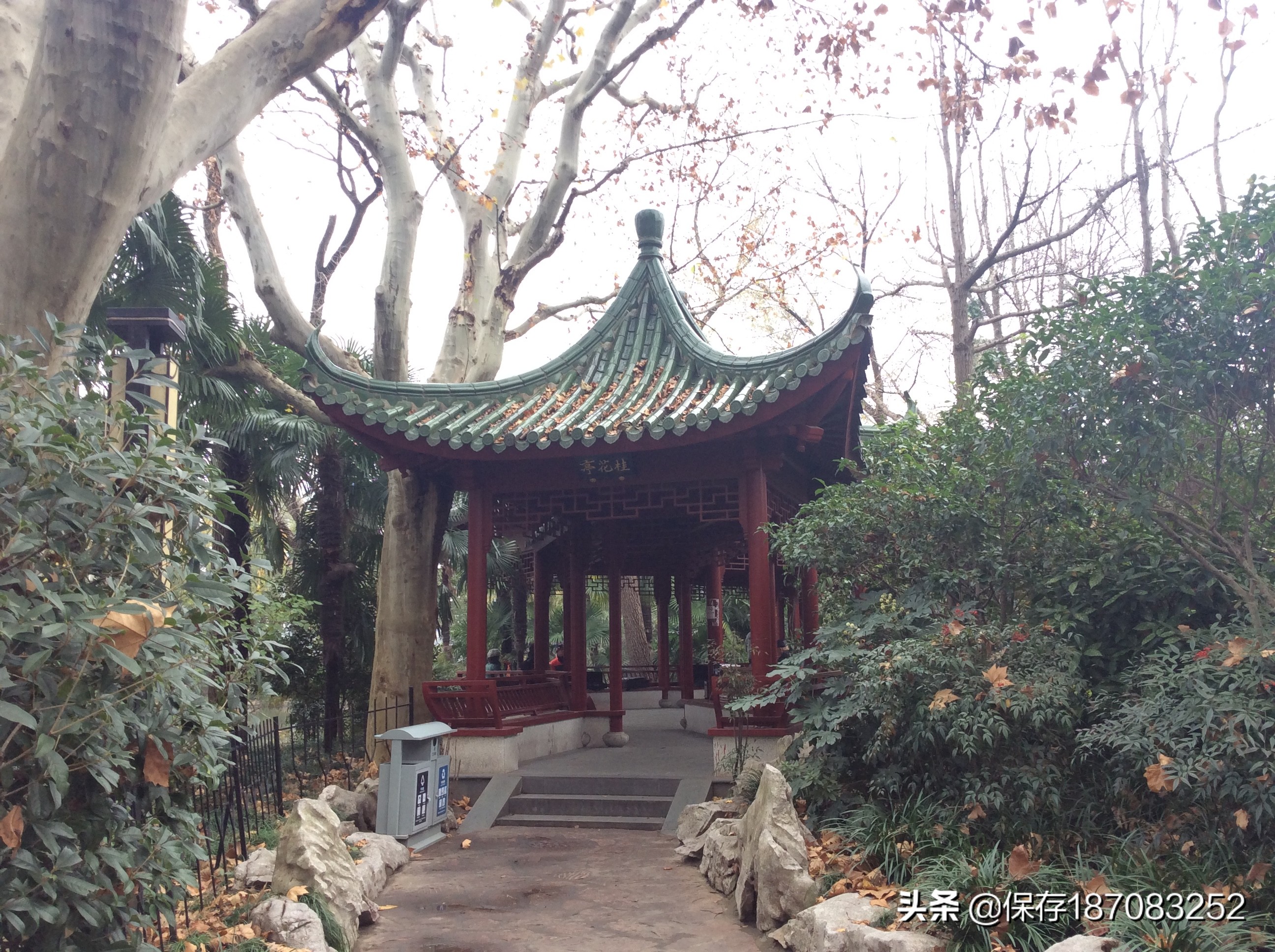 上海普陀山公园,普陀区长风公园在哪