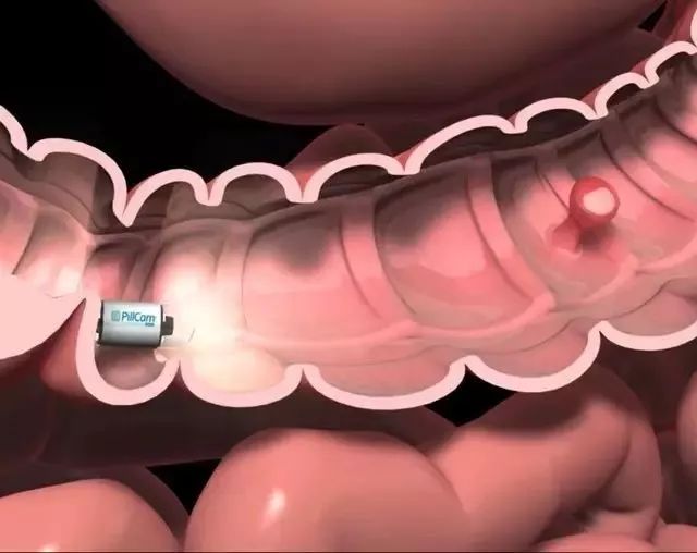 印象最深的以色列,邂逅以色列