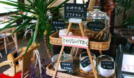 旭川机场,旭川机场到东京机场