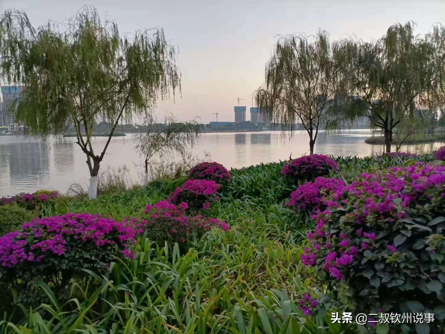 钦州，一个适合生活的地方，也应该有发展的机会