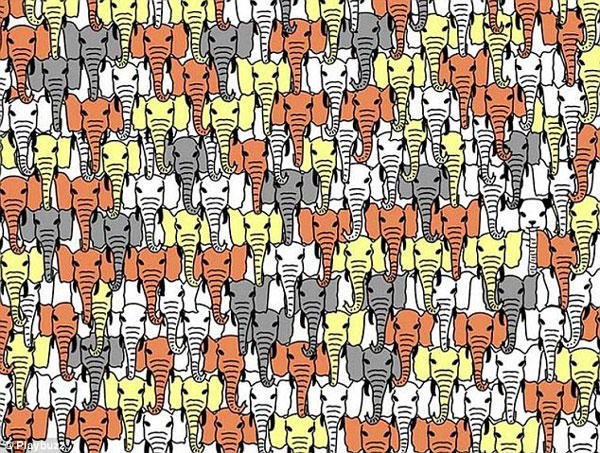 观察力11万人未答对,观察力训练和思维能力训练方法