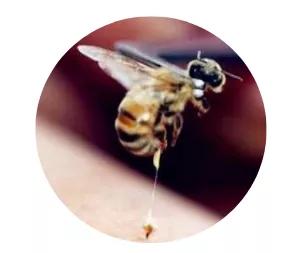 抗氧化抗衰老精华测评,平价抗衰老精华哪种好