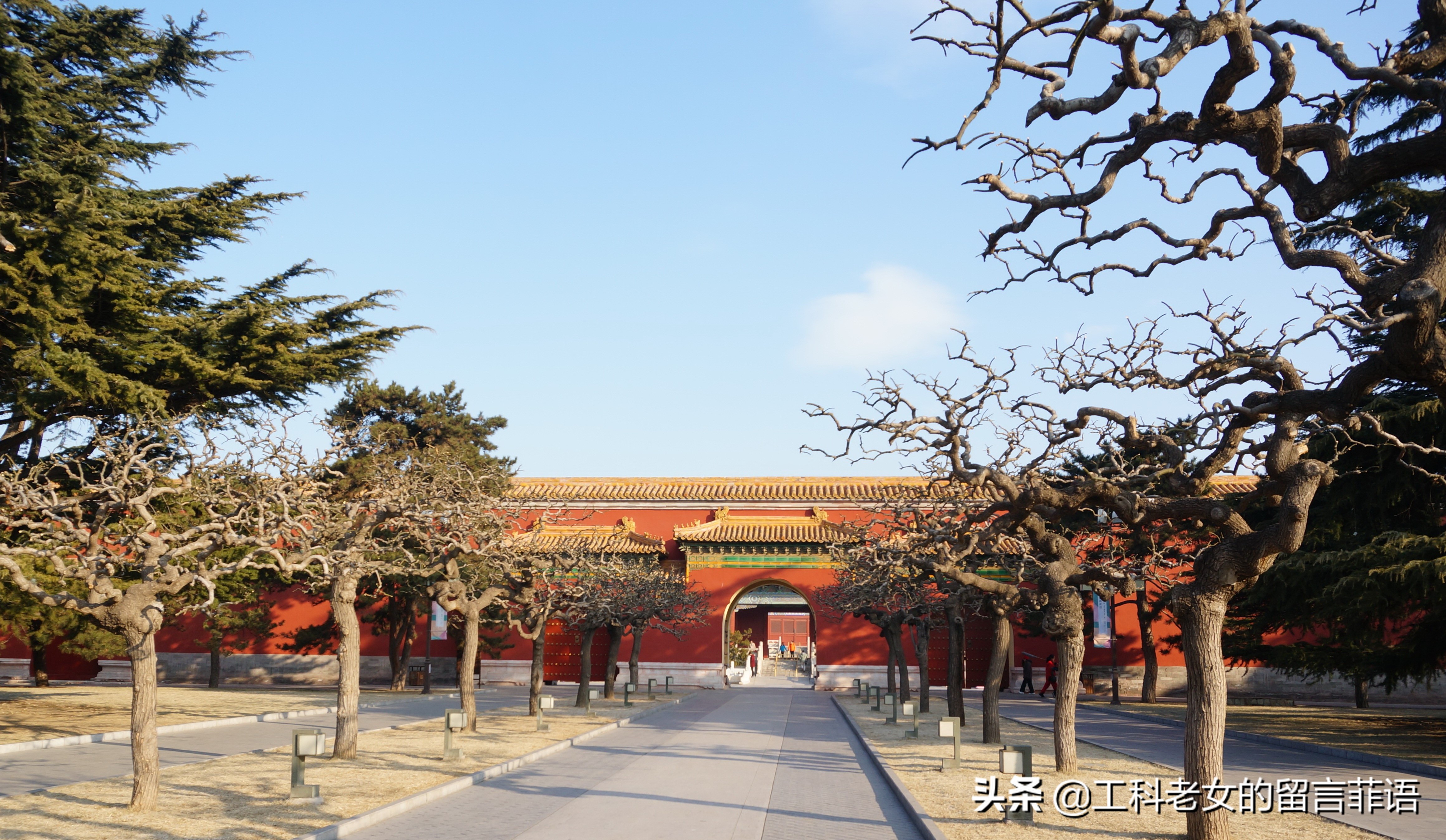 比太和殿更大的寺庙,太庙和太和殿对比图