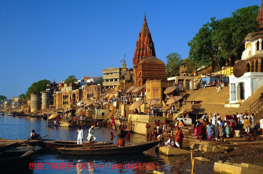 印度第四方支付,印度最大的支付平台paytm