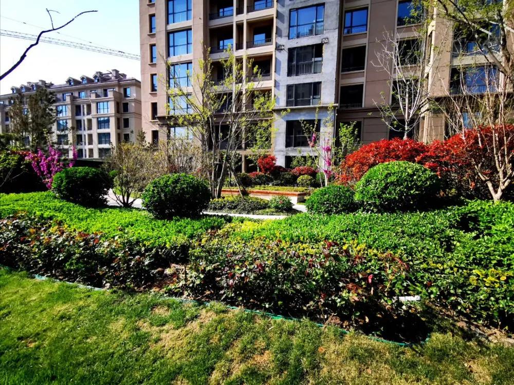 花园洋房玖御壹品,桂花园洋房一楼带院