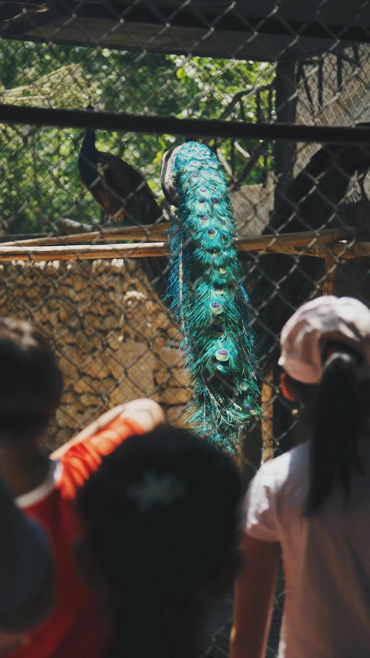 我要拆除绘画中画地为牢的“柏林墙”