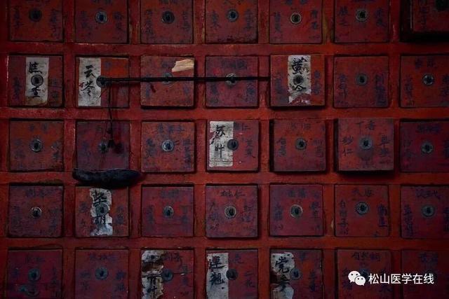 恰逢人间四月，寄一封美哭了的中医情书给你