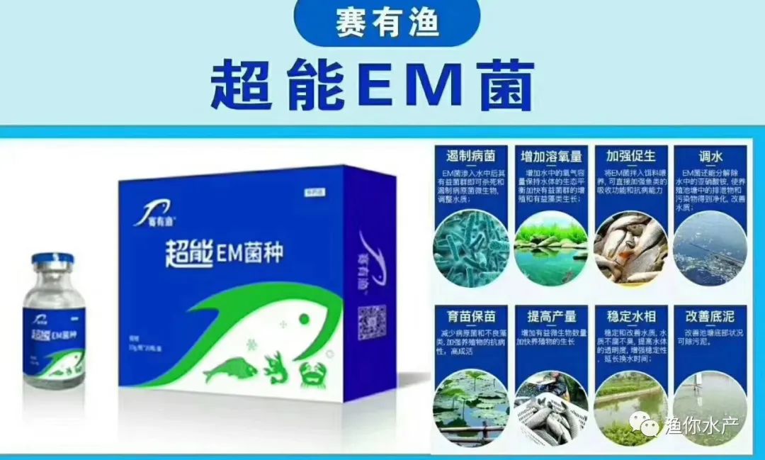 鱼鳃出血是什么病,鱼烂鳃病最佳治疗方法