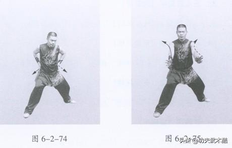 地术拳动作,地术拳实战技法