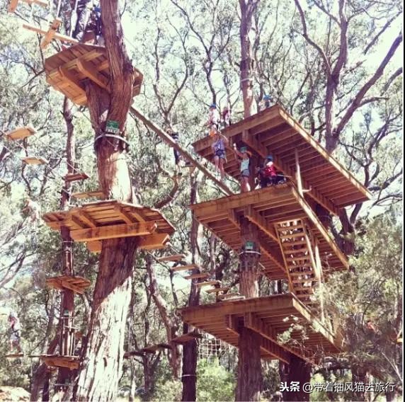 澳大利亚极致之旅,来澳大利亚必买