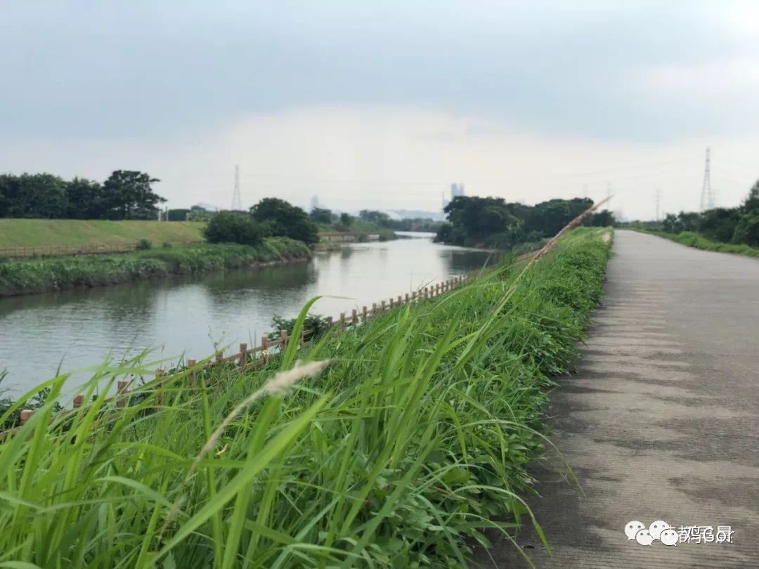 花都东镜村旧改2023计划,花都旧改重点