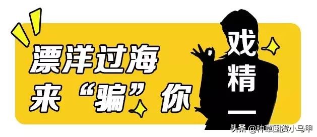 怎样才能看出来代购是真是假,警惕虚假代购骗局