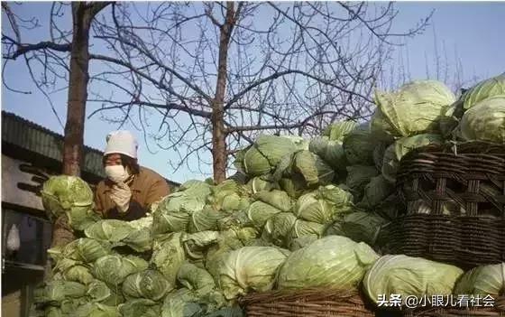 我独家的记忆,我的独家记忆照片