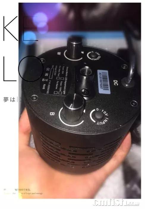 KELO钜彩照明LED水族灯试用活动鱼友评测详情（二）