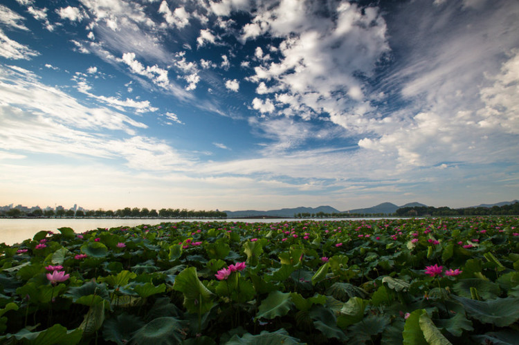 风光如画景色宜人,景色如画环境怡人