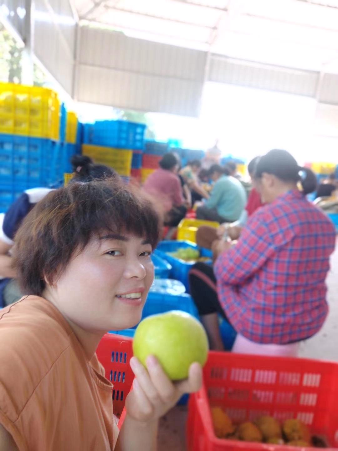 买5部手机注册5个微信号，常德女“村播”组团助农，滞销农产品成“网红”