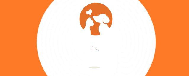 幼猫粮推荐排行榜,幼猫粮推荐性价比高