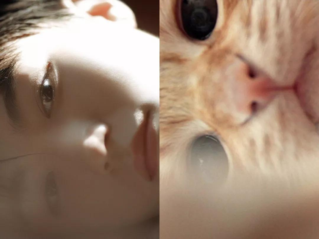 明星大撞脸你看哪个最像,明星撞脸对比