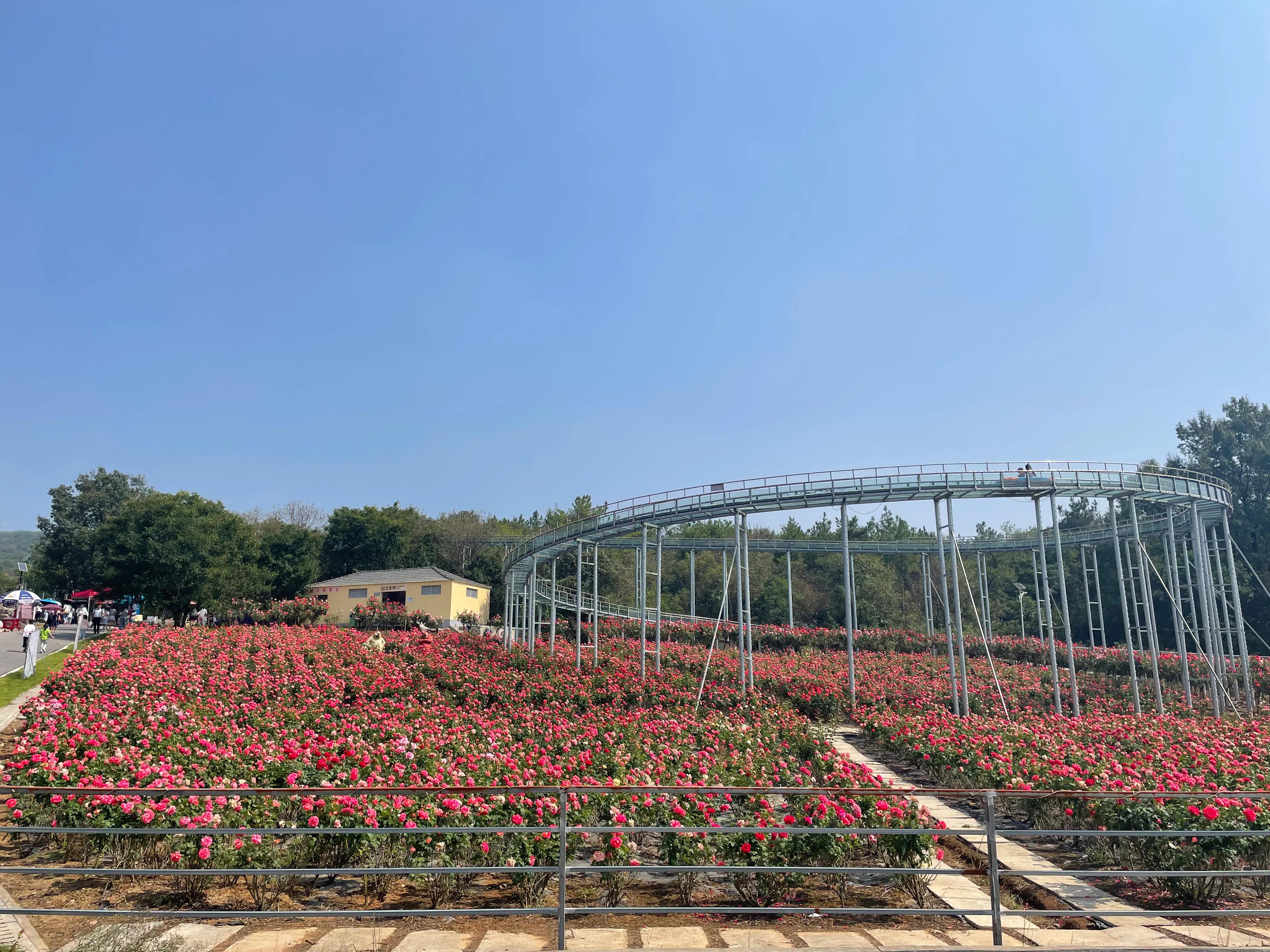 荆门圣境山鹿岛,荆门圣境山风景区攻略