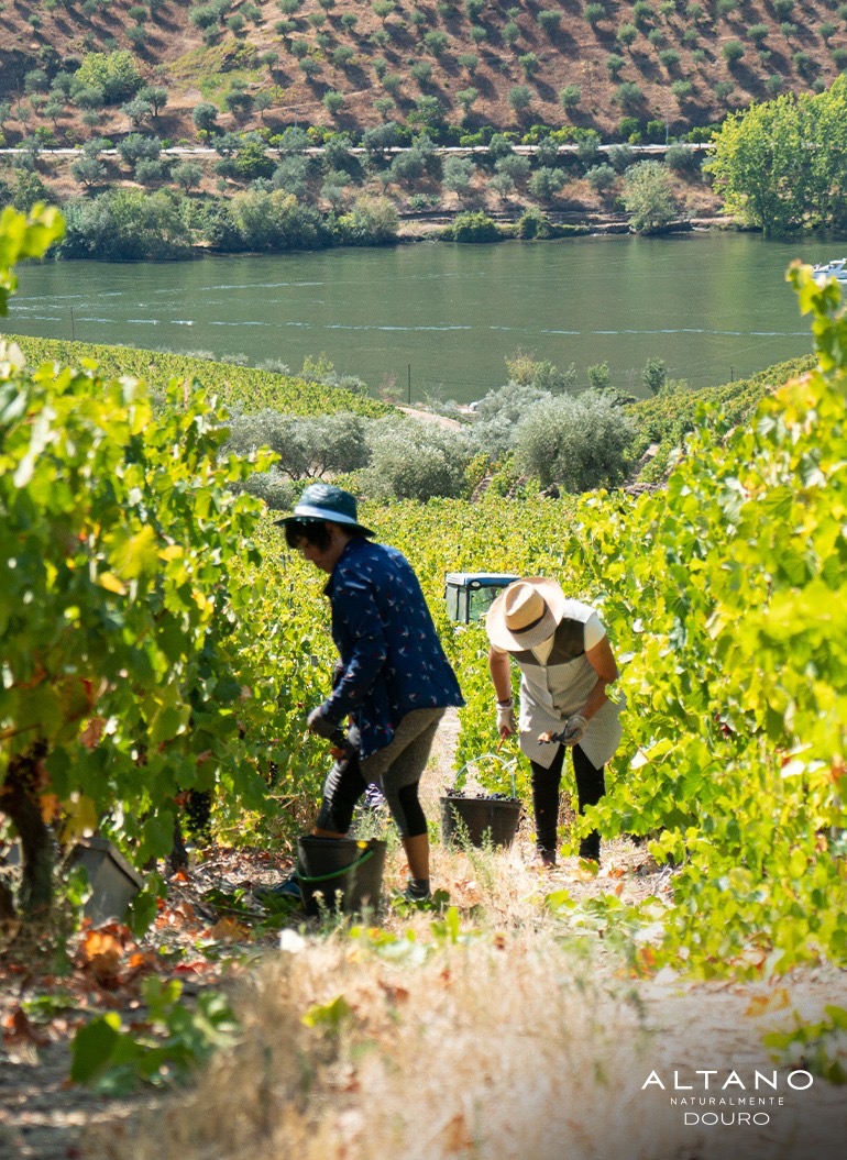 澶╂触鐢滈厭涓撻浜у搧 (涓婃捣鐢滈厭鎷涘晢)