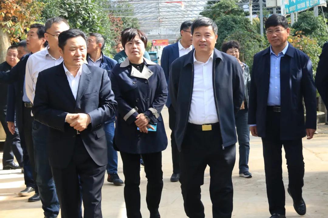 中国沭阳国际花木城在哪个城市,沭阳花木城的发展