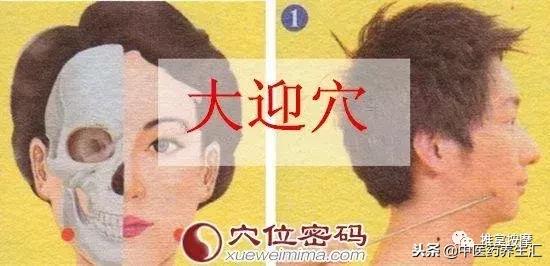 人身上祛风湿的主穴,哪个穴具有祛风除湿活血通络