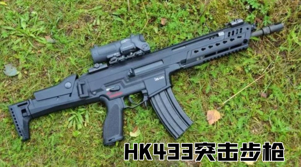 英国枪史图册全篇,德国枪图片