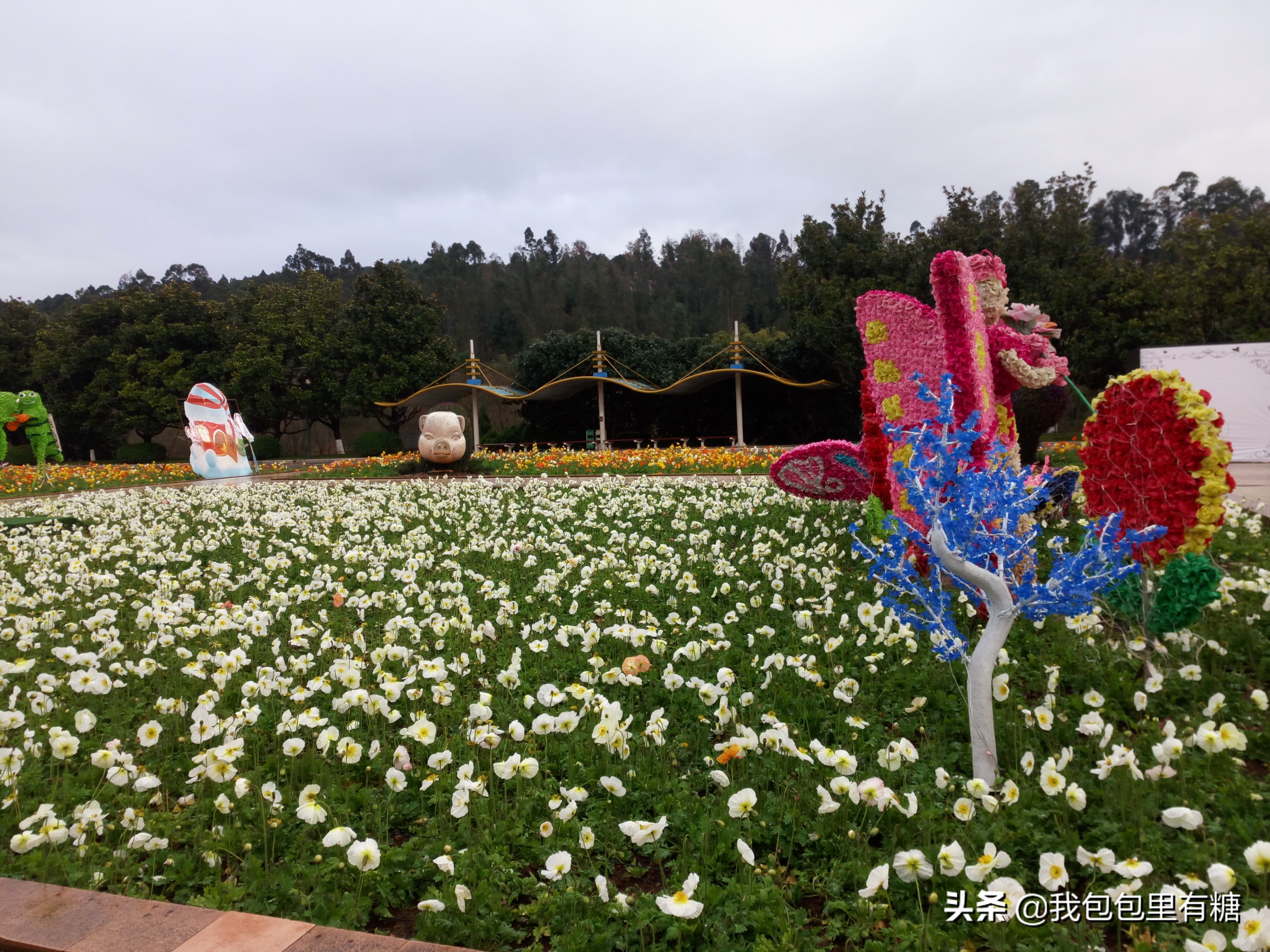 昆明人眼中的世博园,23年前开园的昆明世博园依然美丽