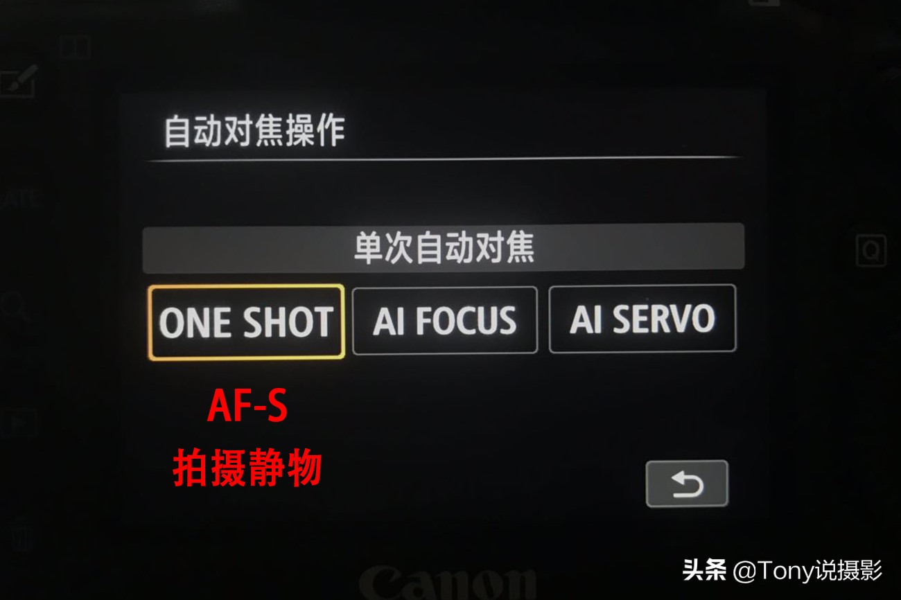 系统学摄影,摄影对焦入门教程