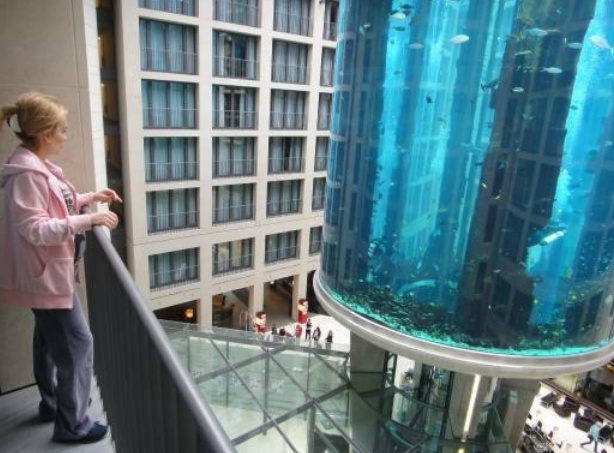 世界上最大的鱼缸吉尼斯纪录,世界上最大鱼缸造景