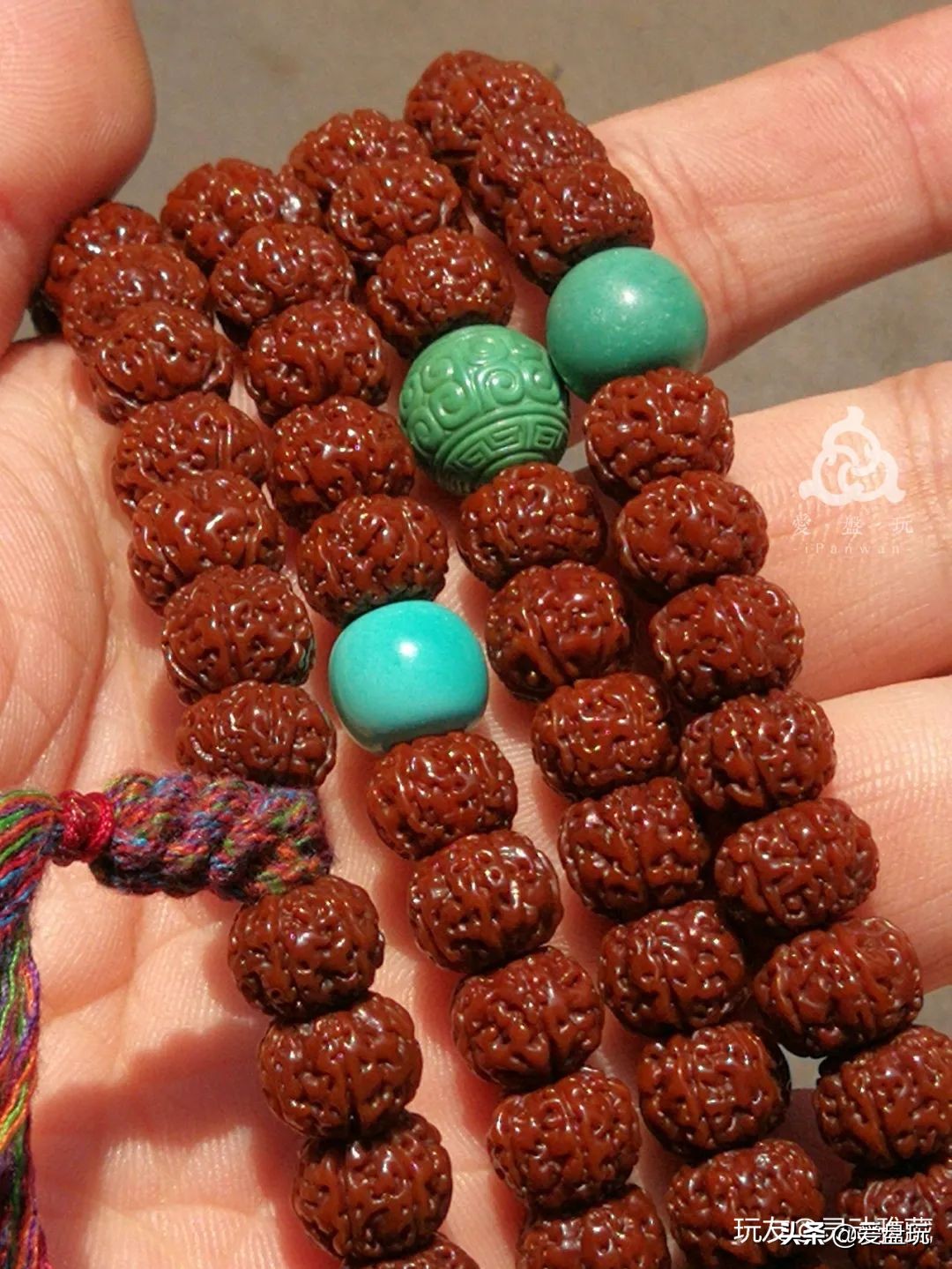 小金刚树王六瓣包浆,树王小金刚单圈包浆图