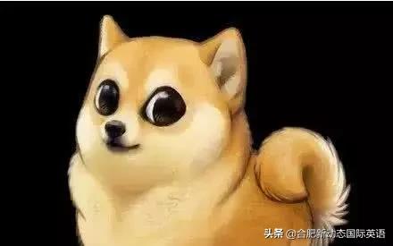 一句英文描述你的英语水平,用一句话证明你的英语水平的英语