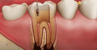 上海雅悦齿科,雅悦齿科医院简介