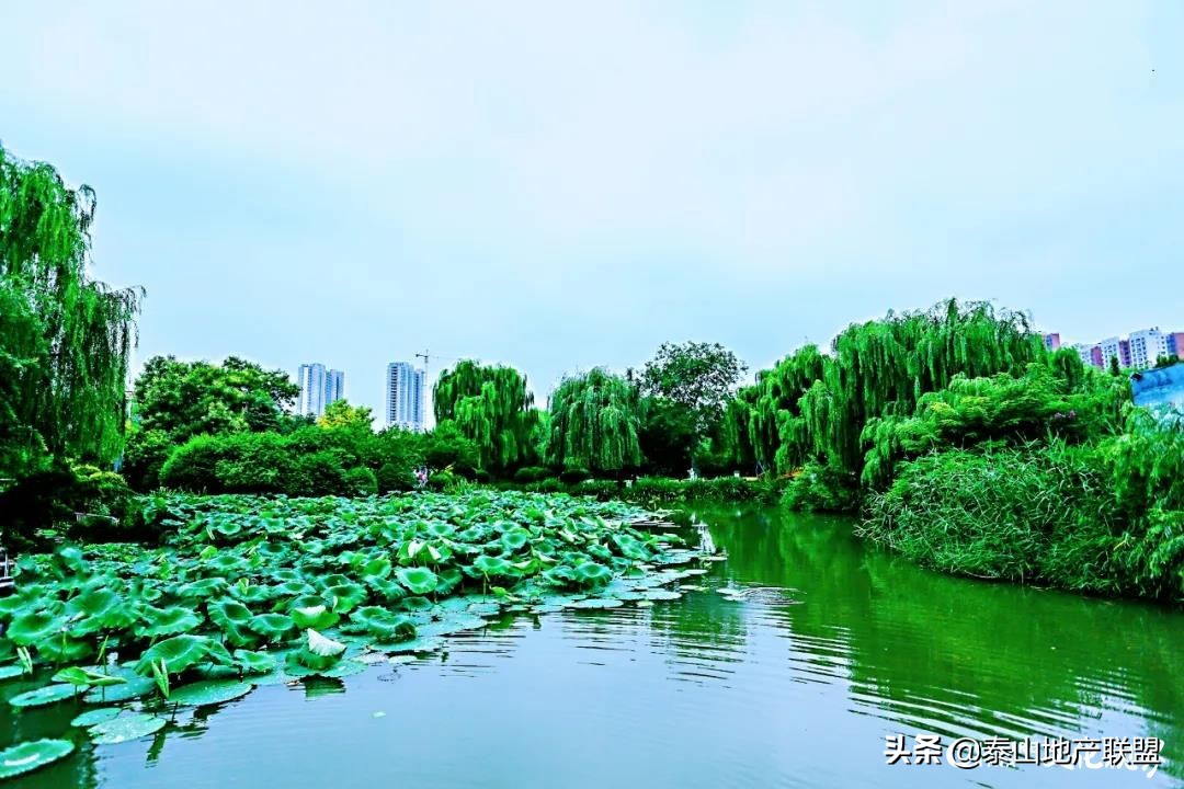 天鸿万象东方二期特价房最新,天鸿万象东方备案价