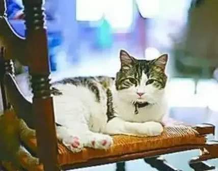 世界最丑男人奇闻异事,世界上最丑的女人背后故事