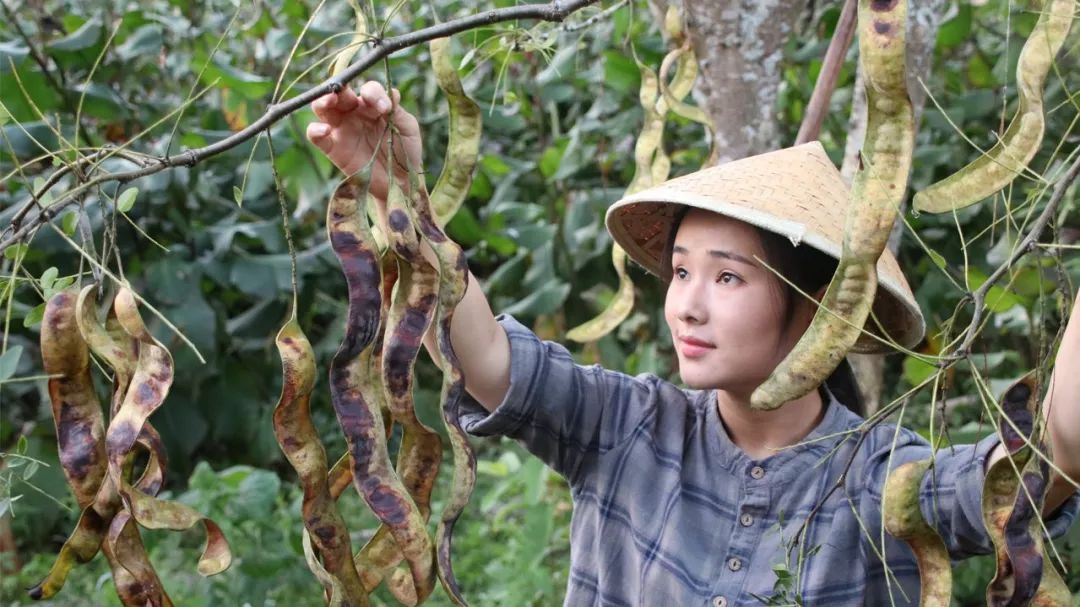 “阿盆姐”让世界迷上了云南，来认识一下这位90后云南妹子的生活