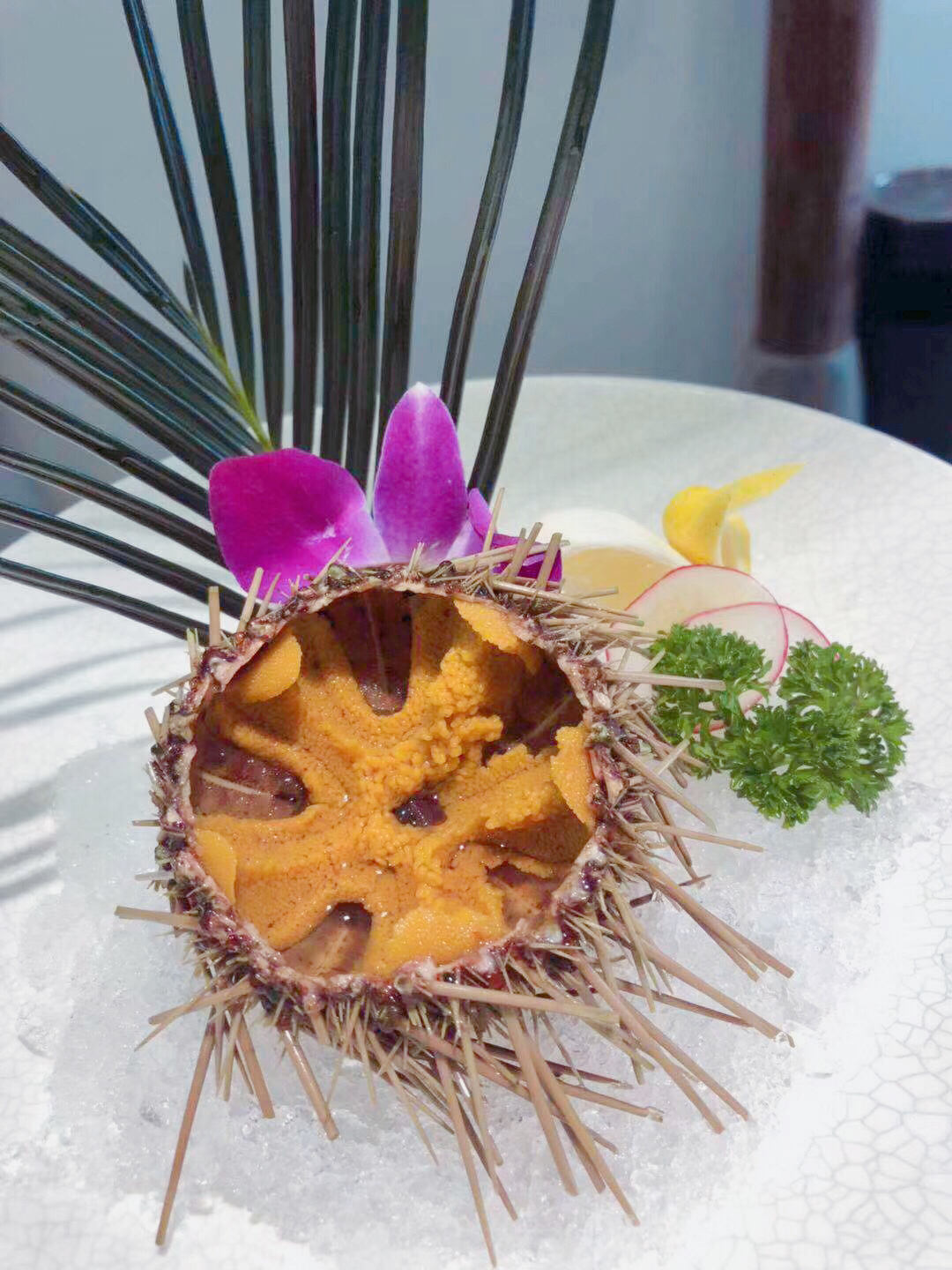 閲嶅ぇ鎻,鐧借壊娴疯儐鑲夎兘鍚冨悧