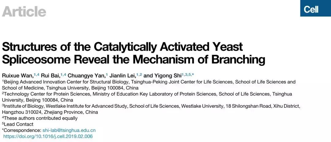 施一公院士生命科学演讲,施一公与教授的视频
