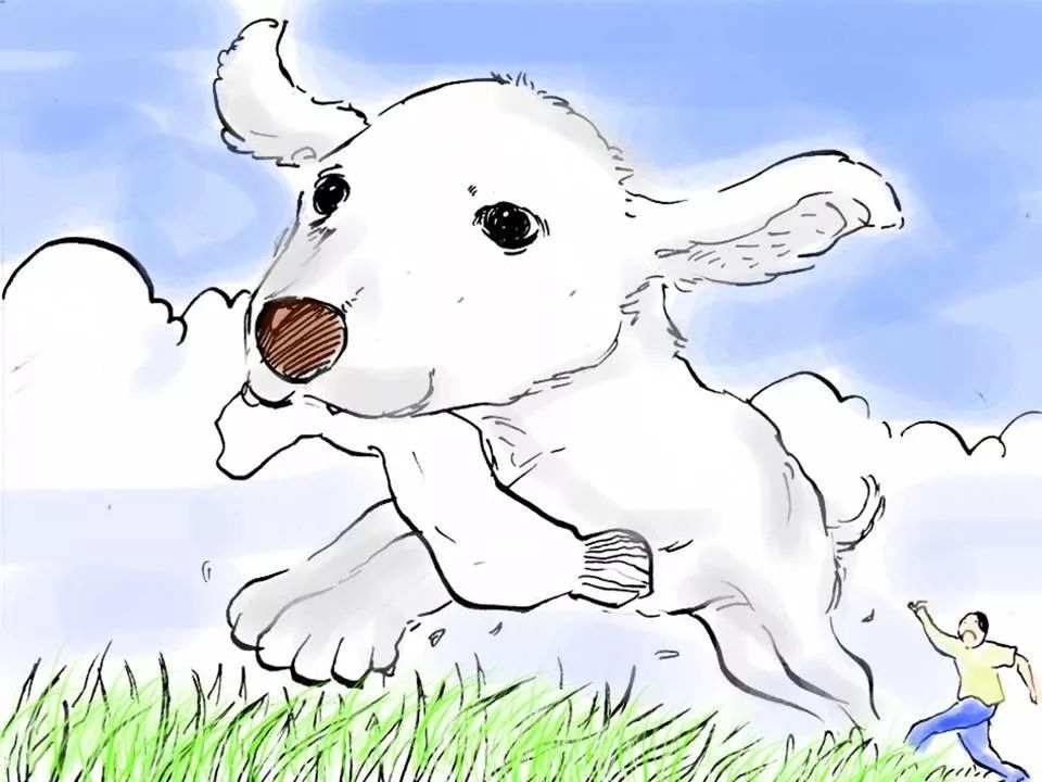 超人燃气灶928,超人燃气灶视频