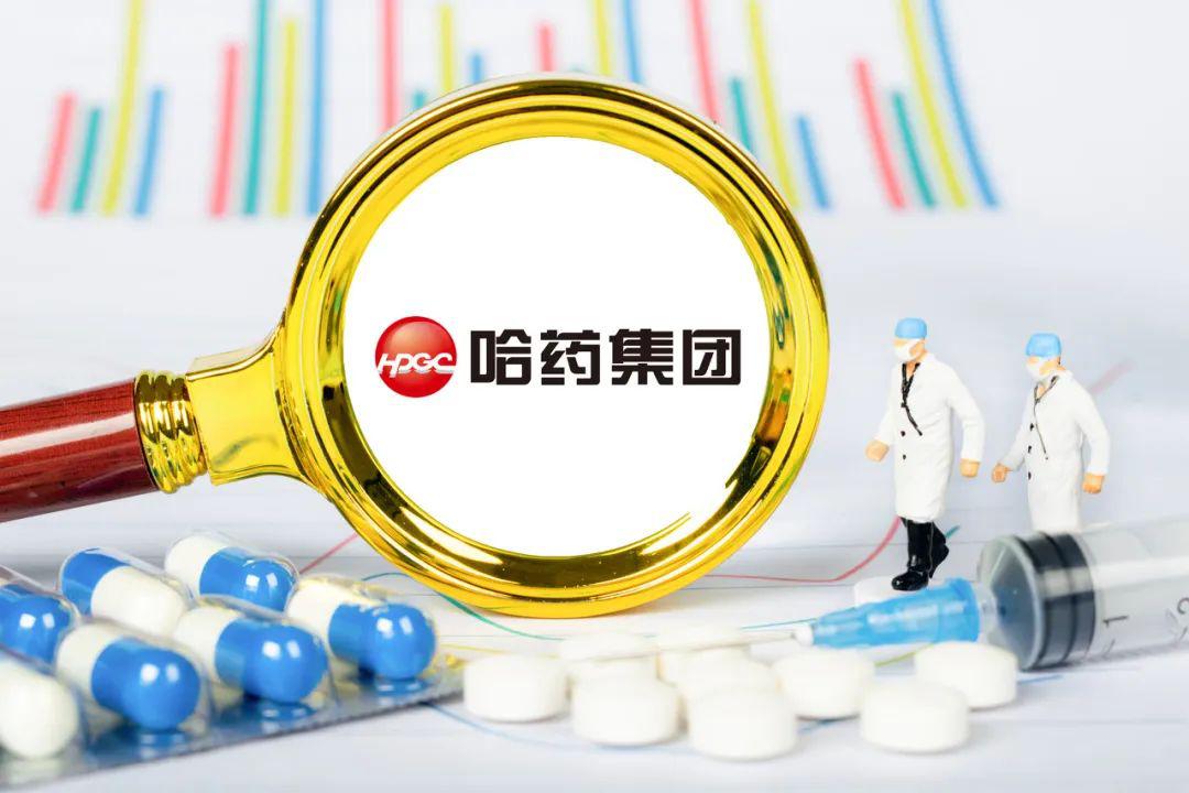 哈药股份高管薪酬方案,哈药股份总经理年薪