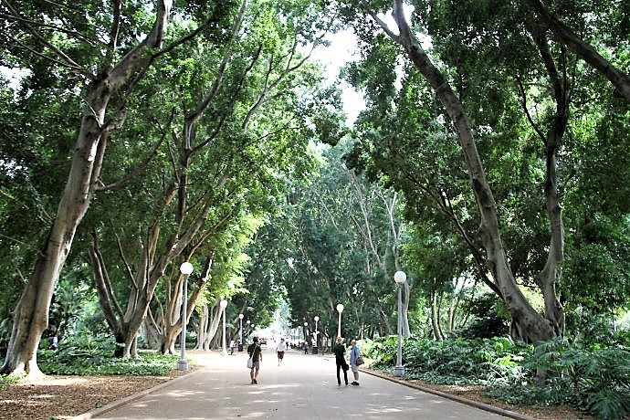 悉尼皇家植物园和海德公园,伦敦和悉尼海德公园