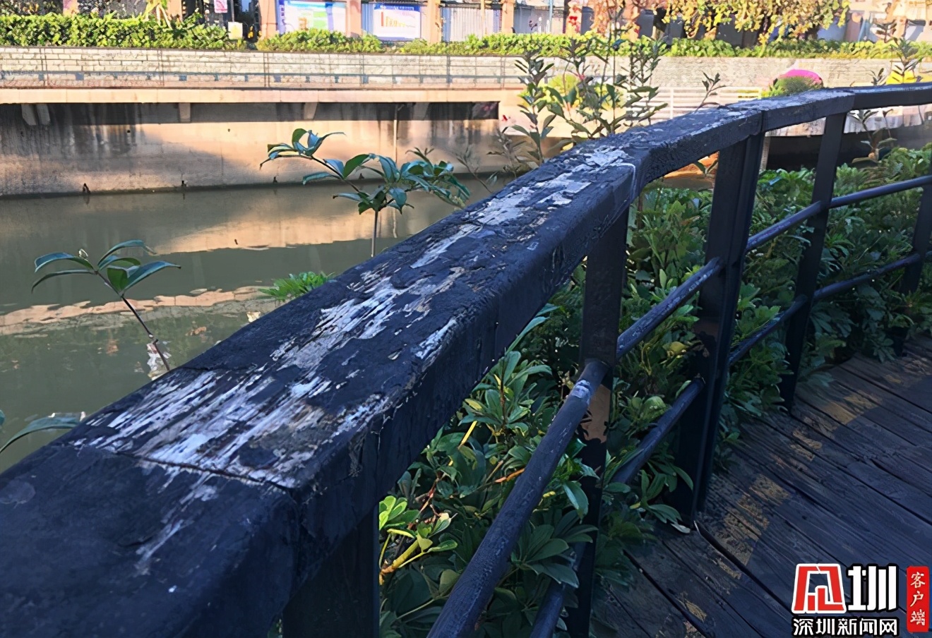 民生盐田丨盐田河护栏脱漆网友反映后迅速获解决